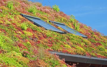 Sabiston living roof systems